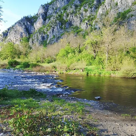 Dobrunvik *